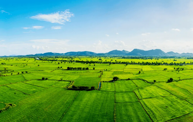 Inherited Land
